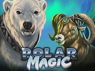 Polar Magic screenshot